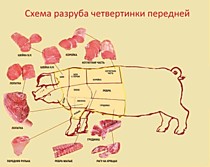 Четверть передняя 500 руб/кг