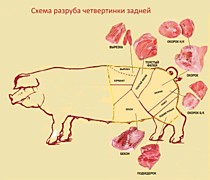 Четверть задняя 500 руб/кг